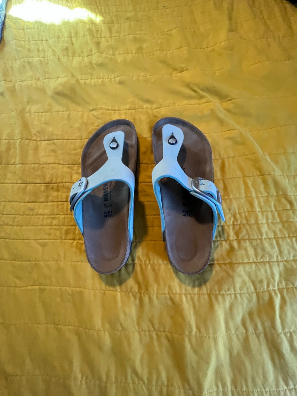 Birkenstock Teal Thong Sandals